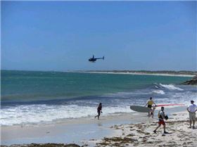 164763 1795026556780 1273187927 31987638 4375839 n