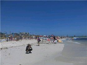 166313 1795023836712 1273187927 31987625 8120658 n