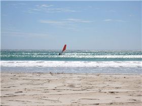 dead off shore Walkers