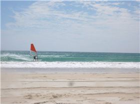 dead off shore Walkers