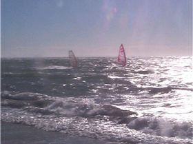 Coming Out Of the Shadows