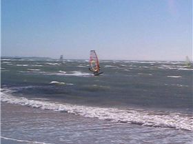 Having A Look What Is On The Beach