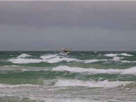 Stephen Jumping at Bono