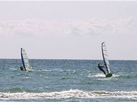 Steve the clear winner