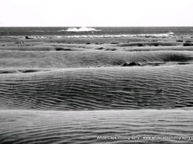 Dunes SP 5 Mar 2011 (147)