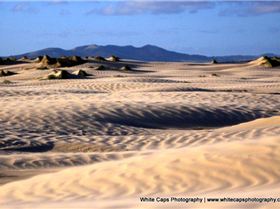 Dunes SP 5 Mar 2011 (148)