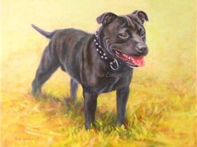 Gruff 40 x 50cms Oil