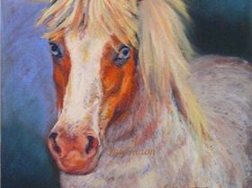 Jack - a demo pastel painting - 25 x 30cms Pastel- For sale on my website