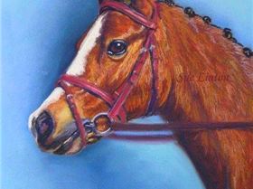 BeeJay Piaffe 25 x 30cms Pastel