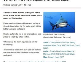 Shark Attack Mid-North Coast