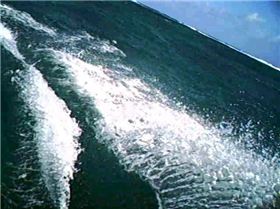 rear view entertainment