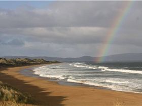 assorted 8.05.2011 949