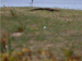 Inverloch Speed weekend