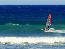 Middleton Dribbler in the MidWest