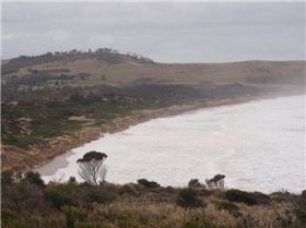 261643 1788162835998 1597390260 31344340 104150 n