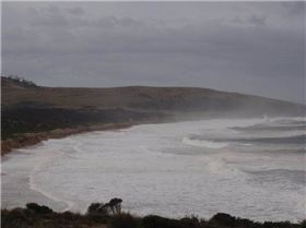 262328 1788163276009 1597390260 31344342 5810868 n