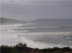 267523 1788163076004 1597390260 31344341 2046659 n