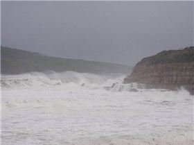 269808 1788172196232 1597390260 31344368 6616838 n