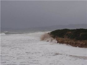 270113 1788165796072 1597390260 31344352 2162434 n