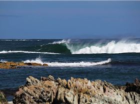 Two weeks in Tasmania, Feb