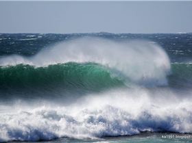 Two weeks in Tasmania, Feb