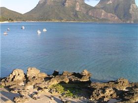 Lord Howe Island trip 2011