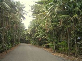 Lord Howe Island trip 2011