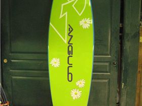 matt bottom  daisies-1