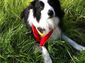 Pit Crew Trophy Photos