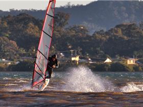 Various pics from the last month