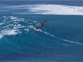 The trip North delivers