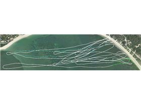 Track from a distance