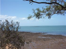 Scarborough Pictures 12 nov 2005 007