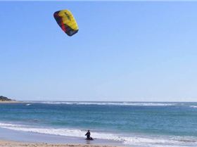 skimmer kite2