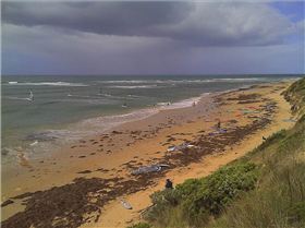 Victorian Wave Series Round - 2