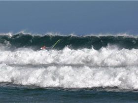 296370 10150911835350075 743080074 21390573 2116809149 n