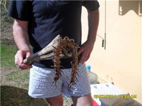 316761 165520193545914 100002638029294 237691 862922959 n