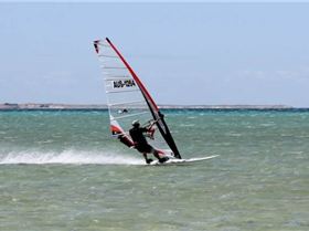 10628-crasher shark bay