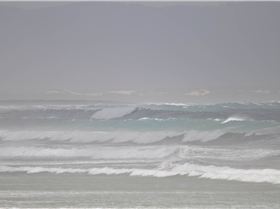 Waratah Bay 9th Jan
