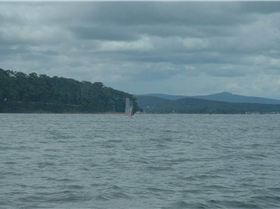 Pulbah Island Marathon