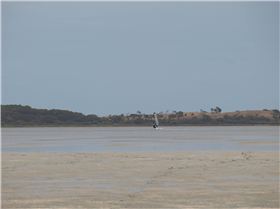 Just starting-fin deep