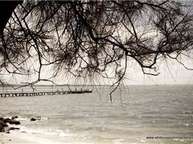 One Design Nationals