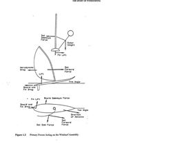primary Forces Windsurfing