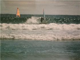 Greens / Bluff / Morelands