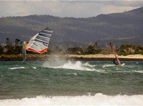 419312 3152231732195 1457215905 33040645 1905068446 n