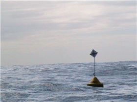 the only one i can find