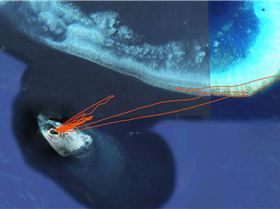 Bob 31-03-12 Green Island