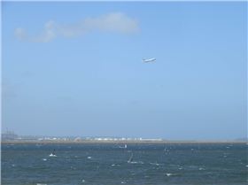Botany Bay Windsurfing