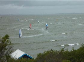 582818 10150853864707774 76733419 n