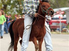 280837175 5b55a7fea6 b